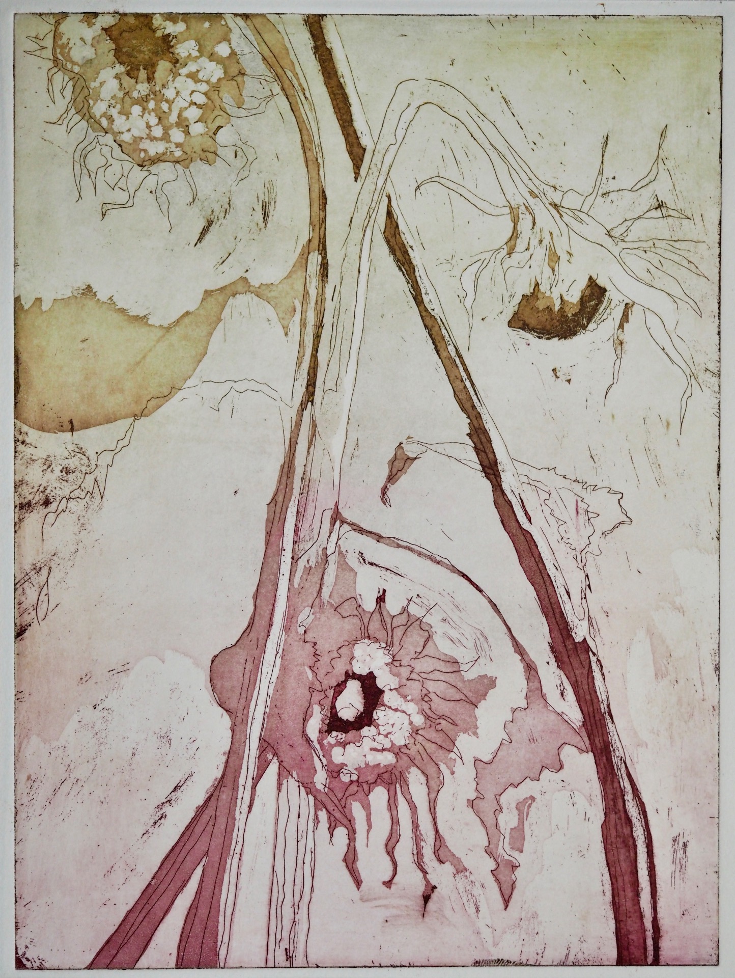 sunflowers - ets/aquatint